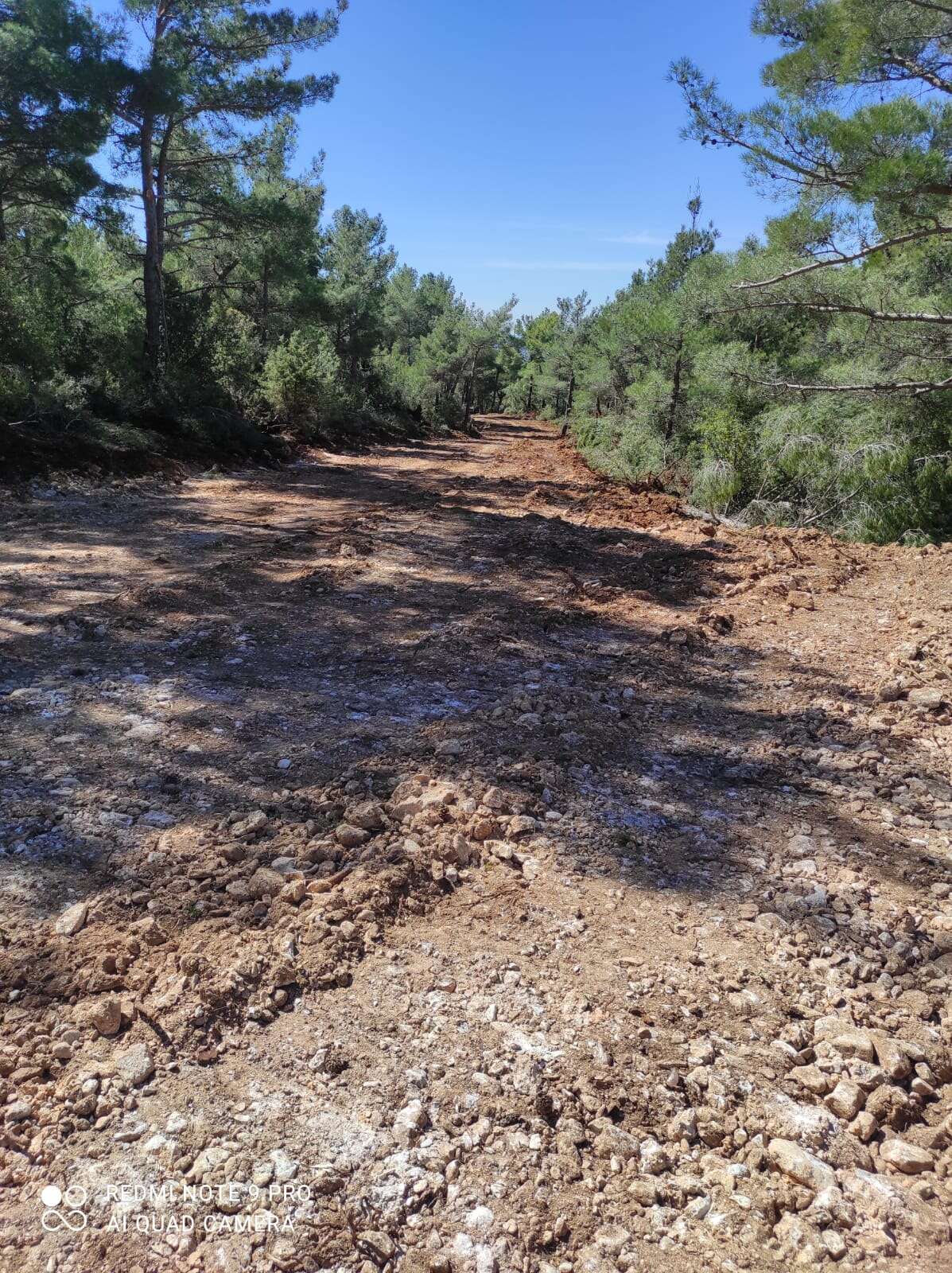 CHP İl Başkanı Kızıl'ın Muğla – Göktepe Yolu Tepkisi: Çalışmalar Neden Başlamadı? 6